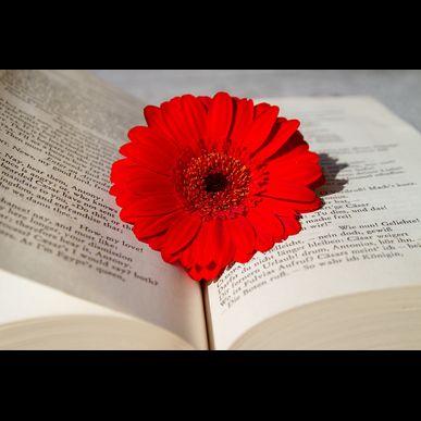 有限会社良観は住宅の塗装も行っています